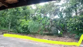 DIJUAL TANAH PEKARANGAN TIMUR PUSKESMAS MINGGIR COCOK UNTUK HUNIAN.391