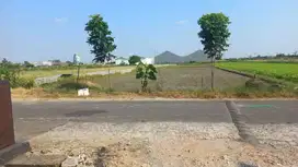 Tanah Sawah Dekat Exit Tol Ngasem