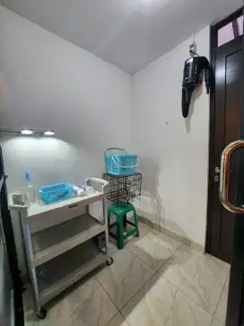 Lowongan GROOMER (SALON KHUSUS KUCING) untuk laki-laki