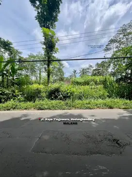Lahan Luas Strategis Di Jalan Tlogowaru Kedungkandang Malang(OLX324)