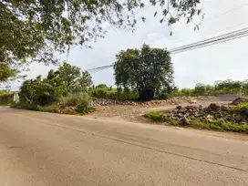 Tanah Komersial di Jalan Raya Rancabungur Bogor