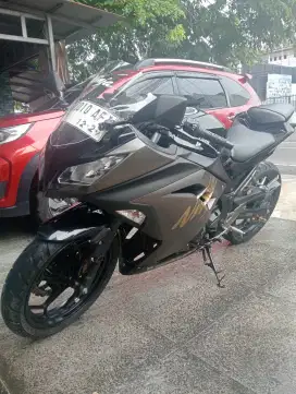 Ninja warrior 250 CC.
