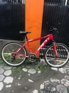 Sepeda gunung element ion