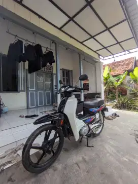 astrea grand bulus