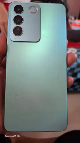 Di jual vivo v273