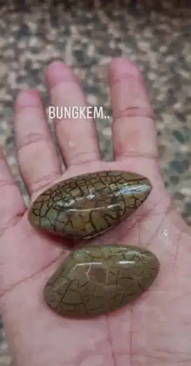 Batu Fosil Bungkem penjaga Tolak Balak