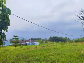 Tanah murah dau lingkungan sudah jadi