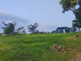 Tanah cocok untuk hunian dan kost lokasi dau