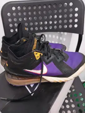 nike lebron 18 low acg terra