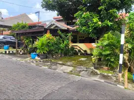 Ready Jual BU Rumah 2LT Candi Prambanan Pasadena Kalipancur