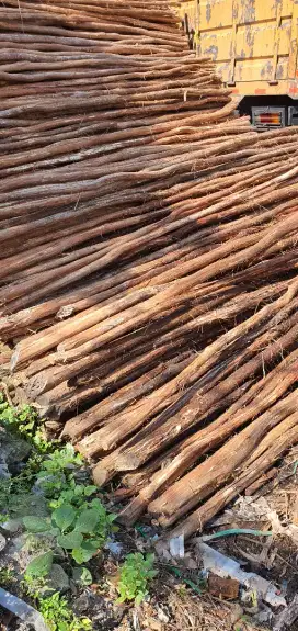 Jual kayu alba, dolken dll untuk kontruksi bangunan