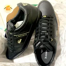 Sepatu Pria laki laki Lacoste BNIB bukan Nike adidas puma skechers