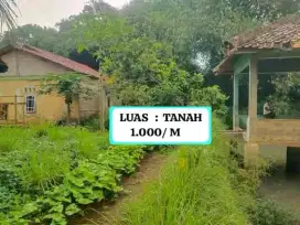 Di jual Rumah +kolam ikan setrategis