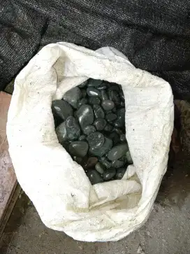 Jual Batu Koral Hitam Bengkulu Ukuran Sedang