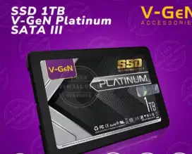 Ssd sata platinum 1 tera