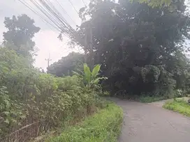 Dimulai 1 jutaan Tanah Kavling Dekat High Land Resort Curug Nangka