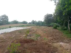 Special Tanah Murah 1 Jutaan Permeter Saja Dekat Wisata Curug Nangka