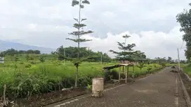 Tanah Kavling Premium Dau Malang 3 Menit Kampus UIN 3 Kedokteran