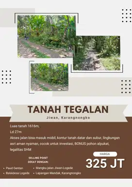TANAH TEGALAN JIWAN, KARANGNONGKO BONUS POHON ALPUKAT