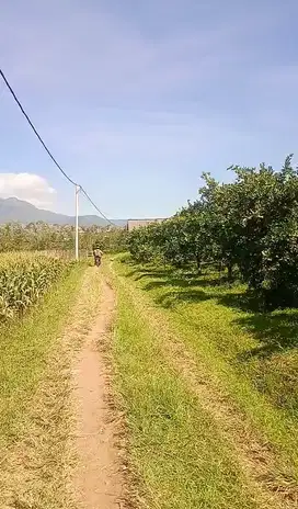 Tanah dijual tawangargo donowarih karangploso LT2800 murah 700jt