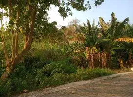 Jual Tanah Jl.Candi Kalasan Semarang Barat- 10161