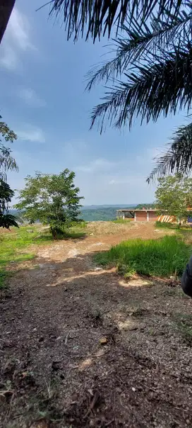 Dijual Tanah di Bandung Barat,View Bendungan Cirata Cocok untuk Resort