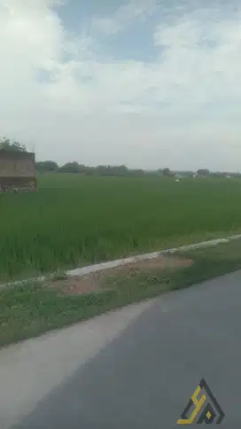 Dijual Cepat! Lahan Industri 10 Ha di Masaran Sragen – SHM,