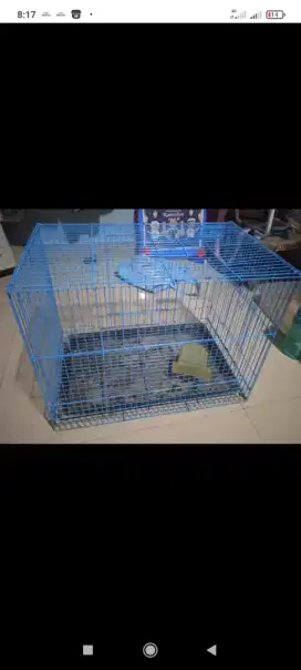 Kandang kelinci