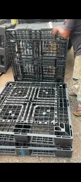 Palet Plastik Baru