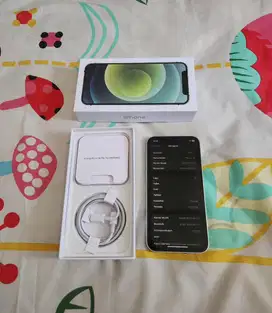 Jual Cepat! Iphone 12 128Gb Green Ex Inter