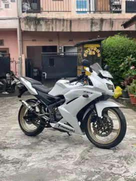 Kawasaki Ninja RR New SE 2013 Albino