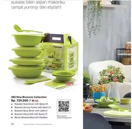 Tupperware Blossom Set