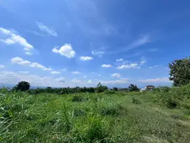 Kavling Landungsari! Harga Terjangkau, Lokasi Strategis Poros Jalan
