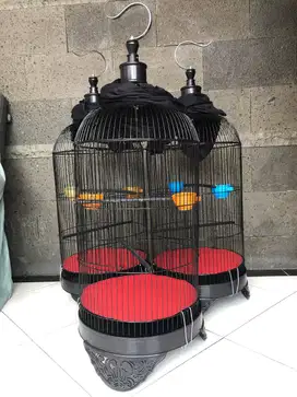 Kandang besi kapsul baru