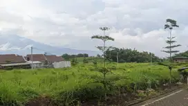 Tanah Kavling Dau Malang Lingkungan Asri dan Sejuk Cocok Untuk Hunian