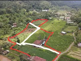 Dijual Cepat Villa Vintage Terawat Dan Tanah Di Pacet Mojosari