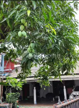 Dijual Rumah Kost Selalu Full Terisi Investasi Bagus Margajaya Bekasi