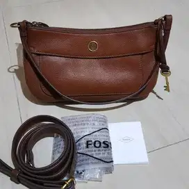 fossil preloved