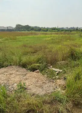 Tanah kering siap bangun zona industri gresik