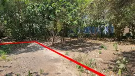 Dijual tanah di Jl Bidadari Seminyak