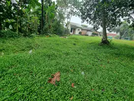 Dijual Cepat Tanah Luas Kampung Cicayur Pinggir Jalan Dekat stasiun