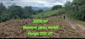 Tanah bagus murah meriah nempel jalan mobil