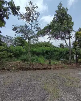 TANAH LUAS MURAH DI DALAM PERUMAHAN AREA CEMOROKANDANG KOTA MALANG