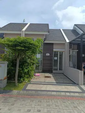 Puri Safira Regency Blok K 4 No 14Kel Menganti Kec Menganti Gresik