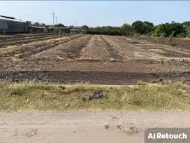 Dijual Tanah Domas Gresik Strategis Siap Huni