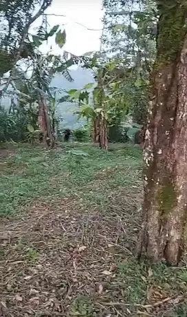 BUC Wanagiri. Mata Air. Kaw Villa. Tower Turyapada. Dkat Bedugul