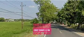 DIJUAL Tanah LD 124 mtr, Jl Raya Propinsi Madiun-NGAWI Prospektif