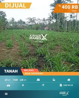 Dijual Tanah Di Daerah Desa Tirtoyudo Dampit Malang (OLX665)