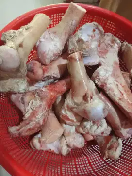Balungan engkel tulang engkel