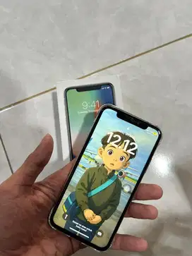 Iphone X 256gb.